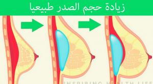 تكبير حجم النهدين زيادة حجم الثديين طبيعيا صورة: تكبير حجم النهدين زيادة حجم الثديين طبيعيا