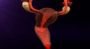 صورة: التفرقة بين نزيف النفاس و الحيض