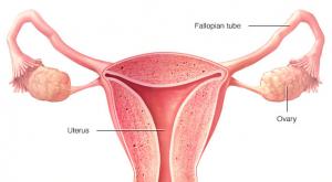 صورة: التعرف على أعراض سرطان الفرج