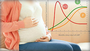 أسباب تذبذب هرمون الحمل صورة: أسباب تذبذب هرمون الحمل