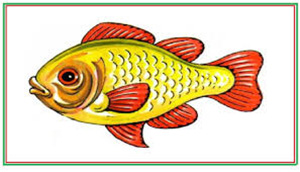 التنظيم الذاتي للطفل صورة: التنظيم الذاتي للطفل