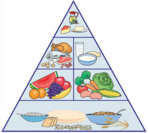 صورة: الهرم الغذائي للطفل