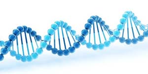 صورة: حمية الجينات أمل المستقبل لانقاص الوزن