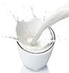 الحليب لانقاص الوزن