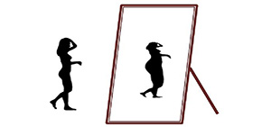 أكاذيب تخسيس مناطق دون الأخرى في الجسم صورة: أكاذيب تخسيس مناطق دون الأخرى في الجسم