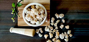 صورة: فوائد واستخدامات عشبة الكثيرة