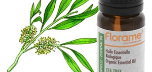 صورة: زيت شجرة الشاي و فوائد زيت شجرة الشاي للبشرة الدهنية