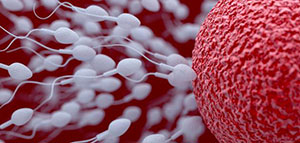 صورة: متى يقع الحمل و أعراض الحمل الأولية و طرق لزيادة فرصة حدوث الحمل