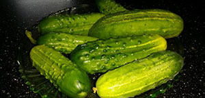 صورة: القثاء و فوائد القثاء للتسمين و فوائد القثاء العامة