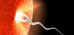 حقن السائل المنوي داخل الرحم و تحضير السائل المنوي صورة: حقن السائل المنوي داخل الرحم و تحضير السائل المنوي