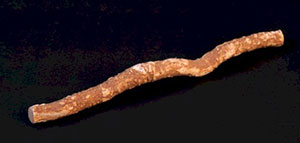 فوائد السواك وخصائصه وكيفية استخدامه صورة: فوائد السواك وخصائصه وكيفية استخدامه