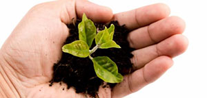 تعريف التربية و التعريفات القديمة للتربية صورة: تعريف التربية و التعريفات القديمة للتربية