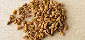 هل يوجد طرق لزيادة الوزن في أسبوع بالحلبة صورة: هل يوجد طرق لزيادة الوزن في أسبوع بالحلبة