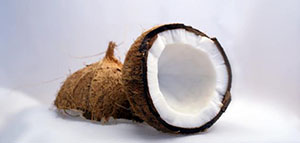 زيت جوز الهند لشعر ناعم ورطب و حليب جوز الهند لتغذية الشعر صورة: زيت جوز الهند لشعر ناعم ورطب و حليب جوز الهند لتغذية الشعر