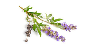 مشروبات تساعد على الحمل و نصائح عامة لزيادة احتمالية الحمل صورة: مشروبات تساعد على الحمل و نصائح عامة لزيادة احتمالية الحمل