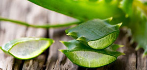 صورة: الإكزيما و وصفات طبيعية لعلاج الإكزيما