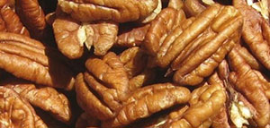 صورة: فوائد عين الجمل للشعر والجسم