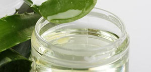 صورة: الصبار و فوائد زيت نبات الصبار للوجه