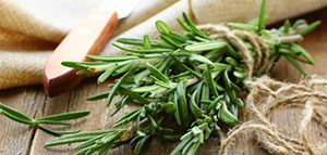 الشيب و فوائد عشبة إكليل الجبل للشعر صورة: الشيب و فوائد عشبة إكليل الجبل للشعر