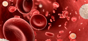 صورة: ما هي صفائح الدم و تحاليل الصفائح الدموية