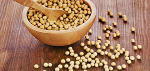 فوائد فول الصويا لزيادة الوزن و القيمة الغذائية لفول الصويا صورة: فوائد فول الصويا لزيادة الوزن و القيمة الغذائية لفول الصويا