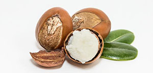 صورة: فوائد زبدة الشيا للبشرة و فوائد زبدة الشيا للشعر