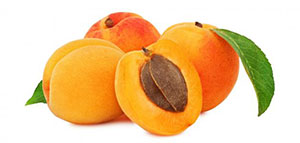 صورة: زيت المشمش و فوائد زيت المشمش للبشرة