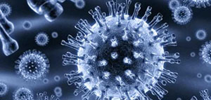 تحليل HCV AB و الحالات التي تتطلب إجراء تحليل HCV AB صورة: تحليل HCV AB و الحالات التي تتطلب إجراء تحليل HCV AB