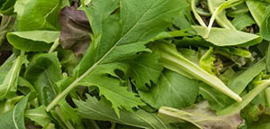 صورة: زيادة نمو الشعر و الحصول على فروة رأس صحية