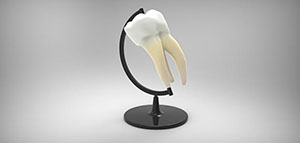 أهمية ضرس العقل و الحفاظ على ضرس العقل صورة: أهمية ضرس العقل و الحفاظ على ضرس العقل