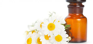 زهرة البابونج و فوائد زهرة البابونج للبشرة صورة: زهرة البابونج و فوائد زهرة البابونج للبشرة