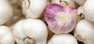 عصر الثوم واستخدامه على الشعر و قناع الثوم والعسل للشعر صورة: عصر الثوم واستخدامه على الشعر و قناع الثوم والعسل للشعر