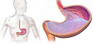 تشخيص الارتجاع المريئي و أسباب الارتجاع المريئي صورة: تشخيص الارتجاع المريئي و أسباب الارتجاع المريئي