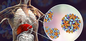 صورة: تحليل الدم و اختبار وظائف الكبد و الاختبارات الأخرى