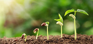 النباتات و كيفية عمل وسائل لتعليم الأطفال أجزاء النبات بالكرتون صورة: النباتات و كيفية عمل وسائل لتعليم الأطفال أجزاء النبات بالكرتون