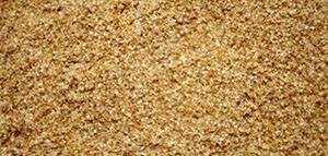 القولون العصبي صورة: القولون العصبي