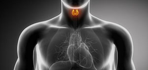 تشخيص وعلاج فرط نشاط الغدة الدرقية و فيديو عن تشخيص وعلاج فرط نشاط الغدة الدرقية صورة: تشخيص وعلاج فرط نشاط الغدة الدرقية و فيديو عن تشخيص وعلاج فرط نشاط الغدة الدرقية