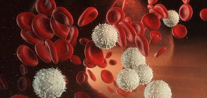 الدم و نقص كريات الدم البيضاء والحمراء صورة: الدم و نقص كريات الدم البيضاء والحمراء