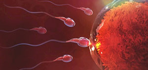 هل توجد أعراض واضحة عند تخصيب البويضة و ملخص المقال صورة: هل توجد أعراض واضحة عند تخصيب البويضة و ملخص المقال