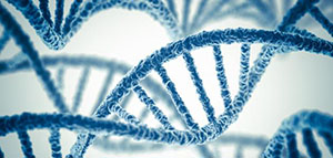 صورة: الهندسة الوراثية و مراحل تطور الهندسة الوراثية