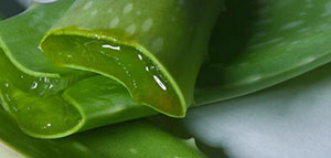 يعالج حب الشباب و يرطب البشرة و يعالج حروق الشمس صورة: يعالج حب الشباب و يرطب البشرة و يعالج حروق الشمس