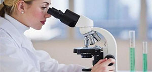 الملاريا صورة: الملاريا