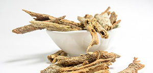 فوائد القسط الهندي و أضرار القسط الهندي صورة: فوائد القسط الهندي و أضرار القسط الهندي