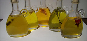 جفاف الشعر و أفضل الزيوت لتنعيم الشعر صورة: جفاف الشعر و أفضل الزيوت لتنعيم الشعر