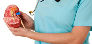 ما المقصود بالقصور الكلوي و ما هي أعراض القصور الكلوي صورة: ما المقصود بالقصور الكلوي و ما هي أعراض القصور الكلوي