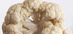 فوائد القرنبيط العامة صورة: فوائد القرنبيط العامة