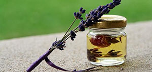 زيت الخزامى لعلاج قشرة الرأس و زيت الخزامى لعلاج قمل الرأس صورة: زيت الخزامى لعلاج قشرة الرأس و زيت الخزامى لعلاج قمل الرأس