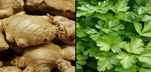 الأعشاب المفيدة و فوائد البقدونس والزنجبيل صورة: الأعشاب المفيدة و فوائد البقدونس والزنجبيل