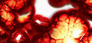 بلازما الدم صورة: بلازما الدم