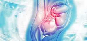 الشهر الثامن من الحمل و تطور ووضعية الجنين صورة: الشهر الثامن من الحمل و تطور ووضعية الجنين